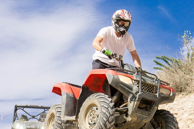Guided Arizona Desert Tour by ATV - Centipede Tour - Exploring the Details of the Desert Adventure