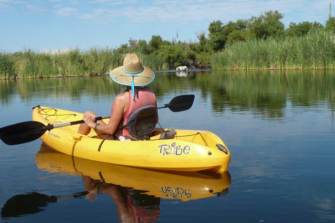 Kayaking the Salt River Foxtail Trip - Final Thoughts: Is It Worth It?