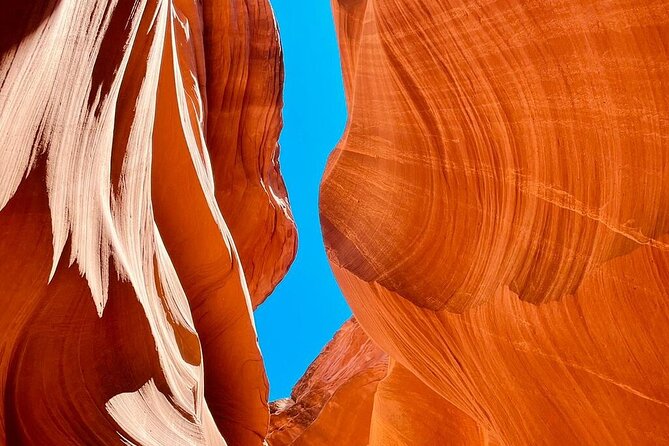 5 Day Tour L. Angeles Las Vegas Yellowstone & Grand Teton from LA - Day 5: Final Yellowstone Adventures and Return