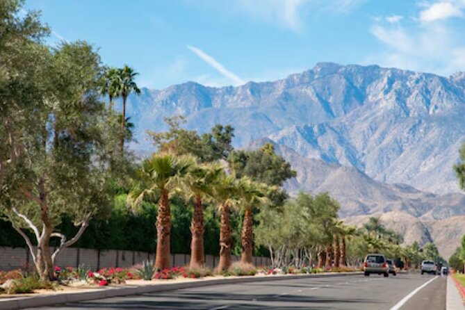 Private tour to Palm Springs from Los Angeles - Detailed Review: A Day in Palm Springs with a Personal Touch