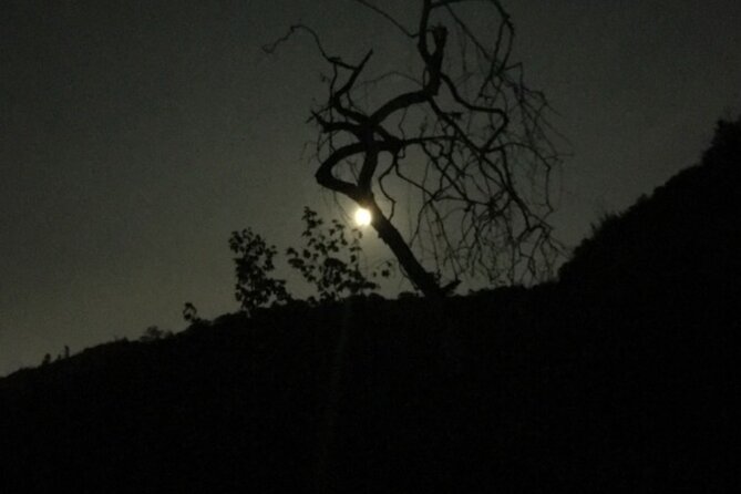 LA Night Hikers - Authentic Experiences and Reviewer Insights