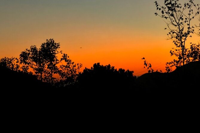 LA Night Hikers - Final Thoughts: Is the LA Night Hikers Tour Worth It?