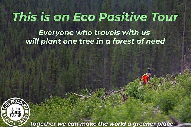 Las Vegas with Hoover Dam, 2-Days Tour from LA - Exploring the Itinerary: What You Can Expect