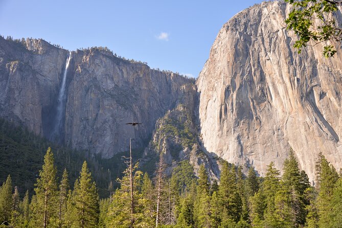 2 Day Private Tour to Yosemite National Park - FAQ