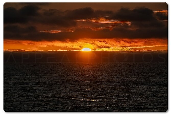 Private Venice Photographic Beach Walking Tour - Exploring Venice Beach and Its Hidden Corners