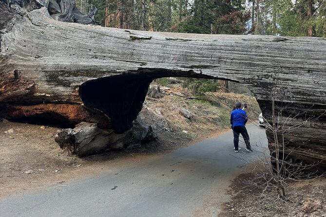 Private Tour to Sequoia and Kings Canyon National Parks - Who Should Consider This Tour?