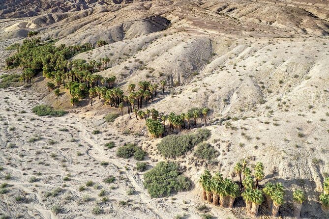 San Andreas Fault Jeep Tour from Palm Desert - Experience the San Andreas Fault on a Jeep Adventure from Palm Desert