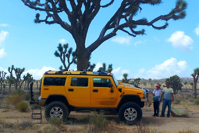 Joshua Tree National Park Scenic Tour - What to Expect from the Joshua Tree Scenic Tour