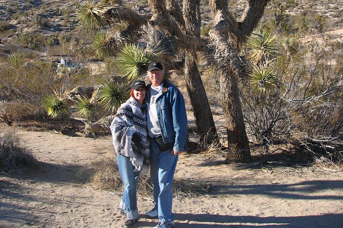 Joshua Tree National Park Scenic Tour - Practical Tips for Your Trip