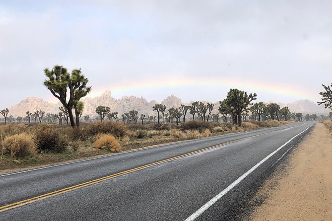 Joshua Tree National Park Scenic Tour - FAQ