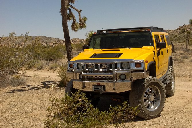 Joshua Tree National Park Scenic Tour - Timing and Booking