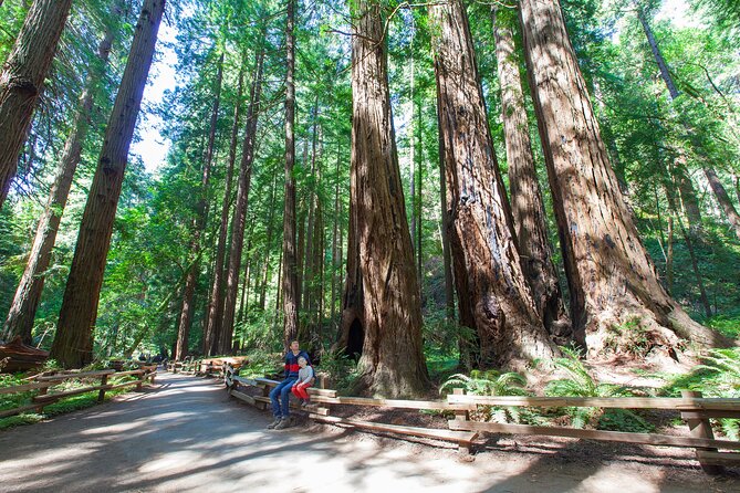 Redwood Retreat: Tour to Muir Woods from San Francisco - The Sum Up