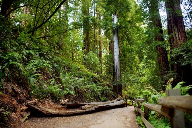 Redwood Retreat: Tour to Muir Woods from San Francisco - FAQ