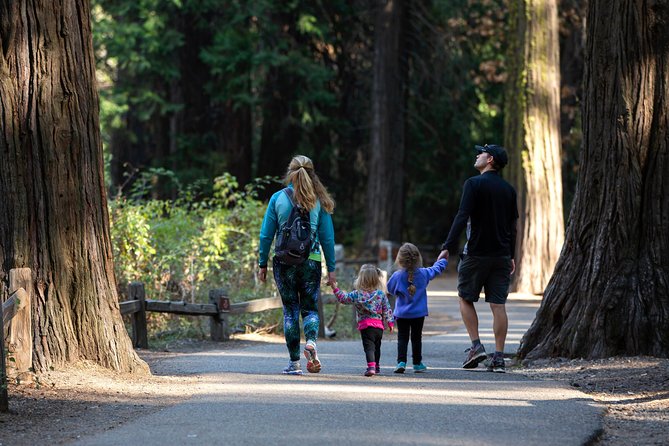 Yosemite Highlights & Giant Sequoias Day Tour from San Francisco - The Sum Up: Is This Tour for You?