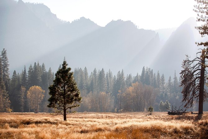 Yosemite Highlights & Giant Sequoias Day Tour from San Francisco - An In-Depth Look at the Yosemite Highlights & Giant Sequoias Day Tour