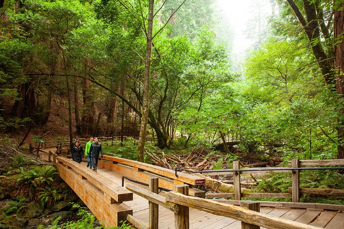 Muir Woods and Sausalito Tour Plus Bay Cruise - Who Will Love This Tour?