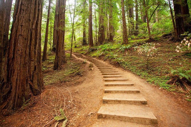 Muir Woods and Sausalito Tour Plus Bay Cruise - The Sum Up