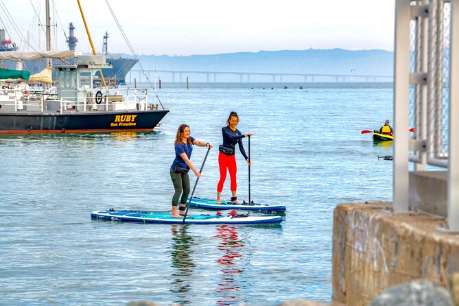 Kayak Or Paddle Board Tour on the San Francisco Bay - Final Thoughts: Is This Tour Worth It?