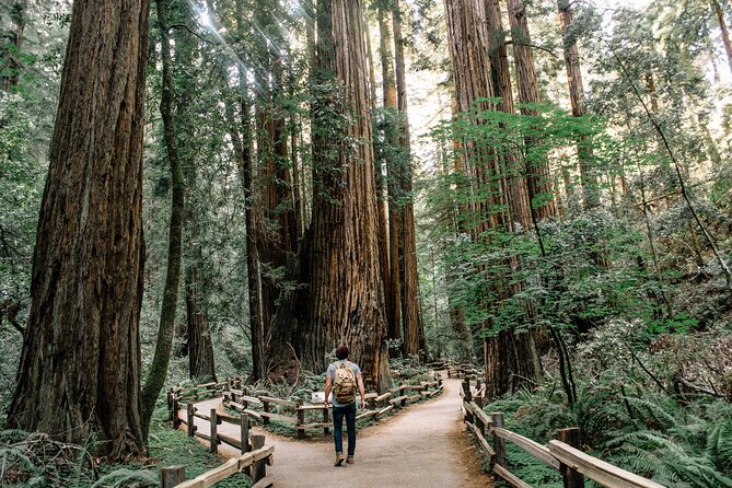 San Francisco, Muir Woods, Sausalito and optional Alcatraz tour - Who Will Benefit Most from This Tour?