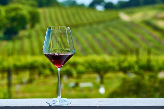 Full-Day Private Amador County Wine Tour from San Francisco - Who Will Love This Tour?