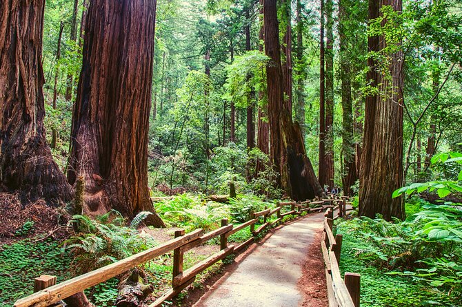 Muir Woods and Sausalito Half Day Tour - Final Thoughts: Is It Worth It?