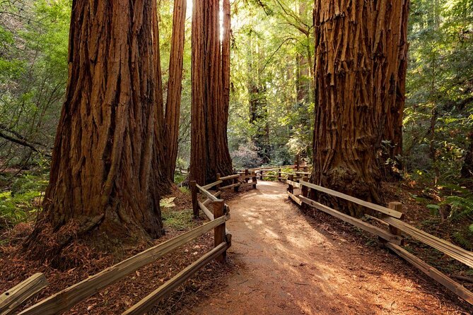 Muir Woods and Sausalito Half Day Tour - Muir Woods and Sausalito Half Day Tour Review