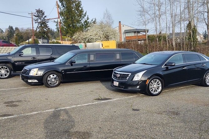 San Francisco Airport (SFO) to San Francisco Private Transfer - Vehicle Features & Additional Options