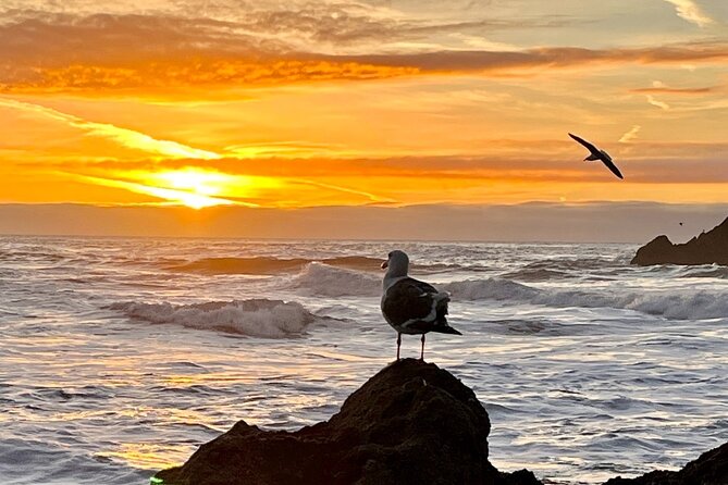 Picture your best SF tour ever! (Epic Bay Area photo adventures) - Key Points