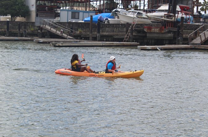 Redwood City Double Kayak Rental - A Practical Look at Redwood City Double Kayak Rental