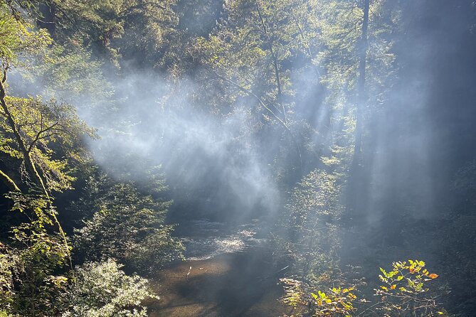 The Secrets of Sacred, Sexy Salmon, Spawning NOW - Final Thoughts