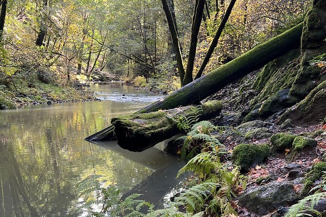 The Secrets of Sacred, Sexy Salmon, Spawning NOW - Introduction: A Unique Blend of Nature, Culture, and Self-Discovery