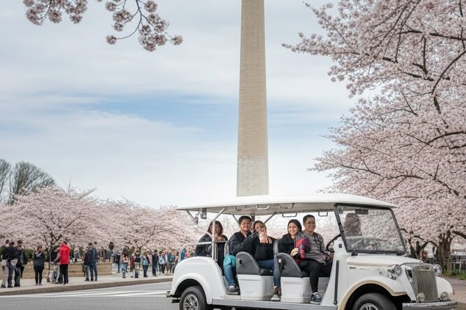 Washington DC Monument's Cherry Blossom Guided E-Cart Tour - Who Will Love This Tour?