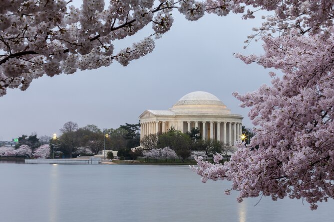 Washington DC Monument's Cherry Blossom Guided E-Cart Tour - The Sum Up