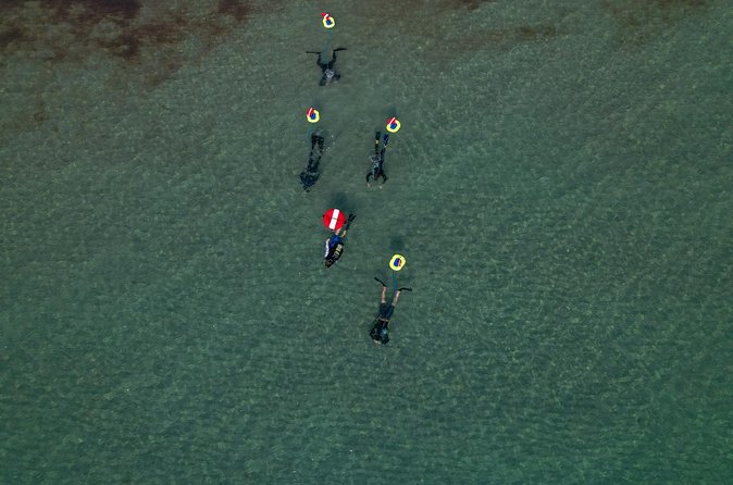 Snorkeling Experience on a NEMO Diving System - Who Will Love This Tour?