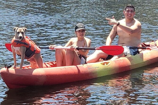 Fort Lauderdale Bonnet House Ground and Guided Paddle Board Kayak - Key Points