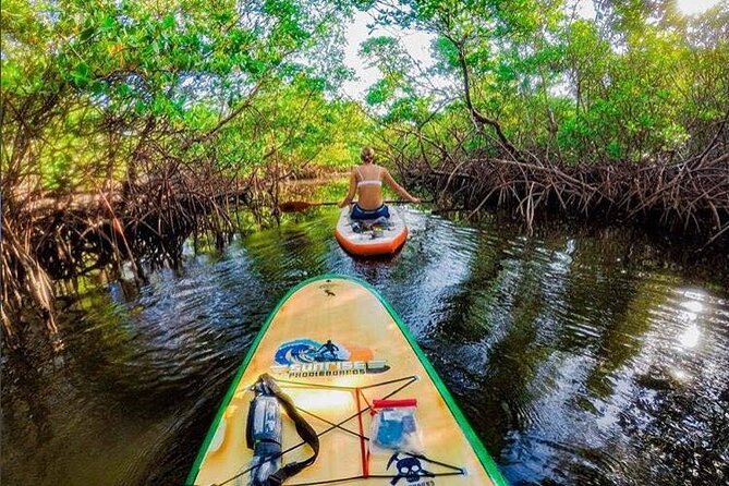 Fort Lauderdale Bonnet House Ground and Guided Paddle Board Kayak - Experience a Slice of Old Florida with Fort Lauderdale’s Bonnet House and Wetlands Tour