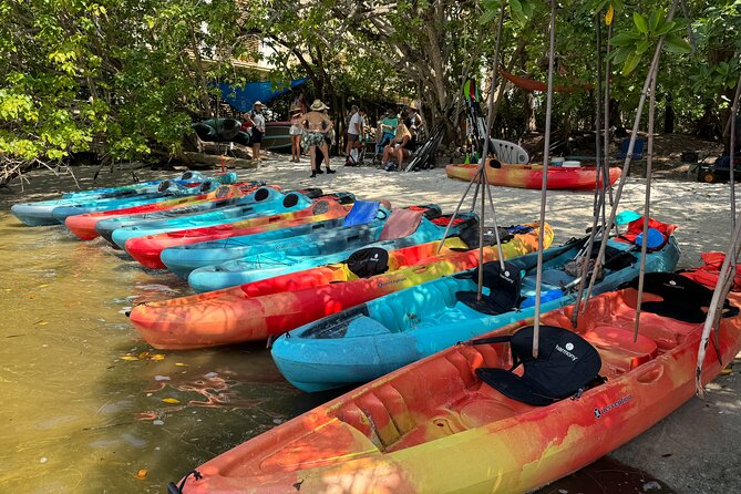 Bonnet House 2 Hour Rental (Paddleboard or Kayak) - In-Depth Review: What Makes This Paddle Experience Stand Out