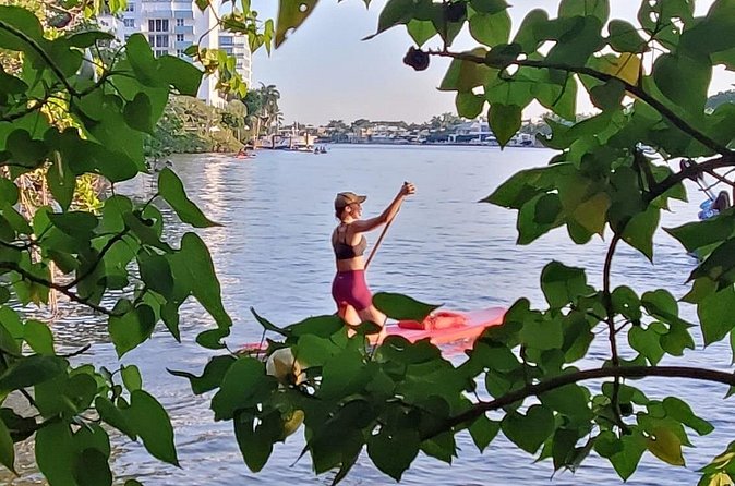 Bonnet House 2 Hour Rental (Paddleboard or Kayak) - Practical Tips for Your Paddleboard or Kayak Adventure