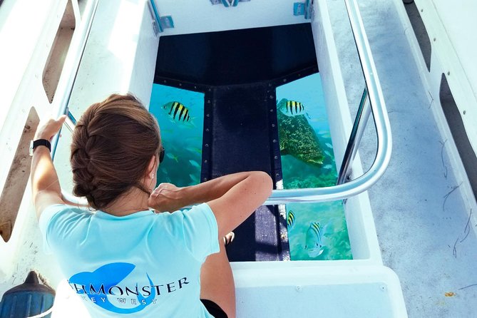 Snorkel, Sandbar & Dolphin Excursion - Practical Details & What to Expect