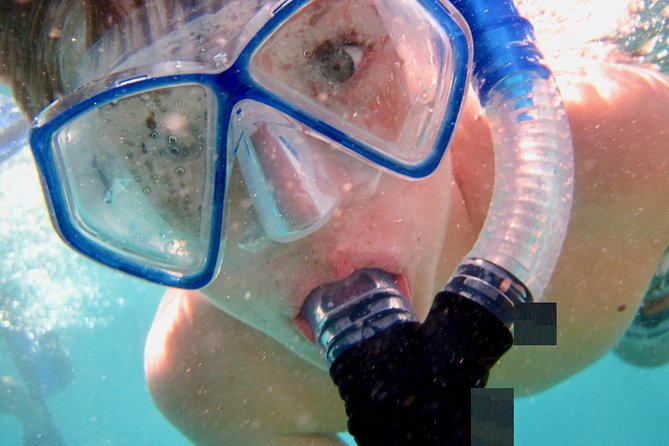 Private Looe Key Snorkel from Big Pine Key - Exploring the Itinerary: What You Can Expect