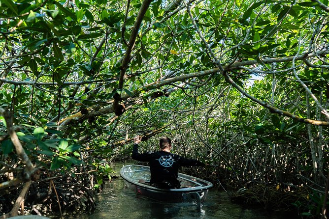 Guided Clear Kayak Eco-Tour Near Key West - The Itinerary: What’s Included and What to Expect