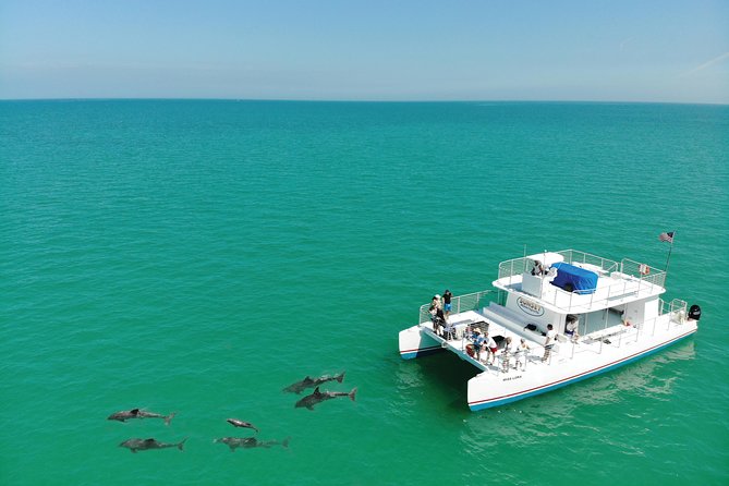Key West Dolphin and Snorkel Experience - Key Points