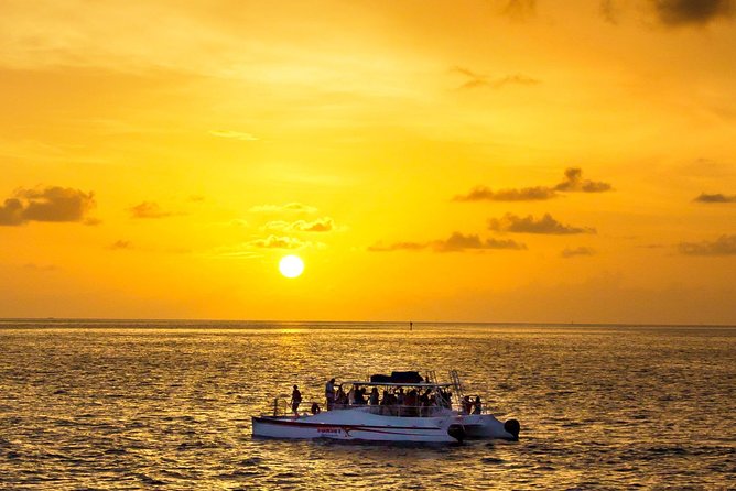 Key West Dolphin and Snorkel Experience - Experience the Best of Key West with the Dolphin and Snorkel Tour