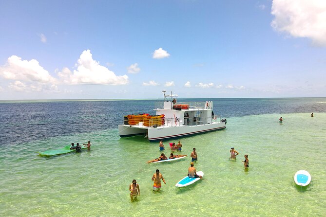 All-Inclusive Sandbar Safari with Dolphin Playground Encounter - The Food and Drink Experience