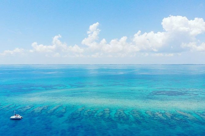 Key West Snorkeling with Breakfast and Unlimited Mimosas - Frequently Asked Questions (FAQs)