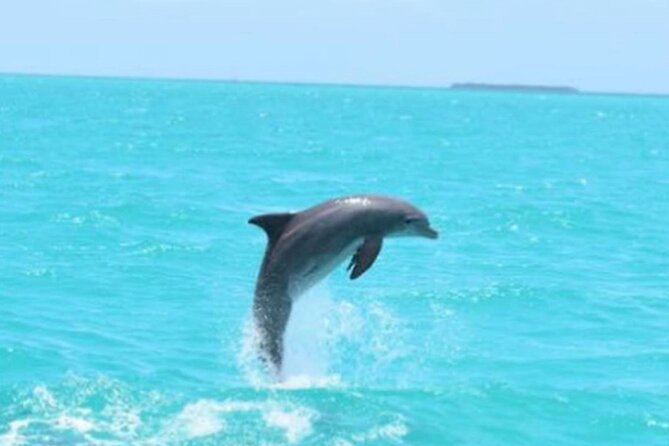 Key West's Favorite Afternoon Dolphin Sail - Final Thoughts