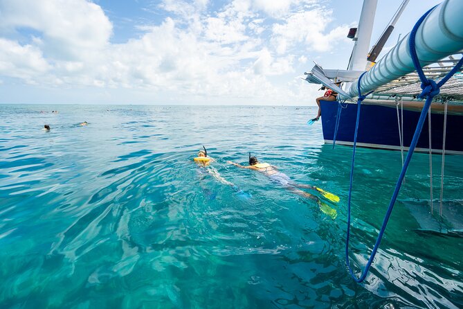 Key West Afternoon Snorkel Sail with Unlimited Cocktails! - Practical Tips for Your Trip