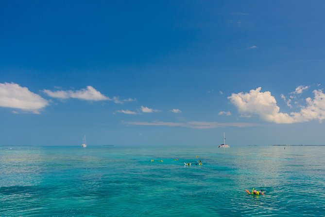 Key West Afternoon Snorkel Sail with Unlimited Cocktails! - Who Will Love This Experience?