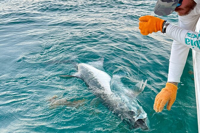4 Hour Sunset Seasonal Tarpon Charter from Key West - Final Thoughts