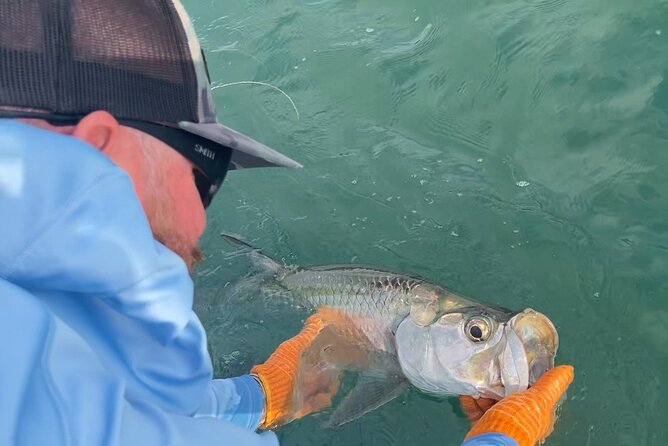 4 Hour Sunset Seasonal Tarpon Charter from Key West - Exploring the Sunset Tarpon Charter in Depth